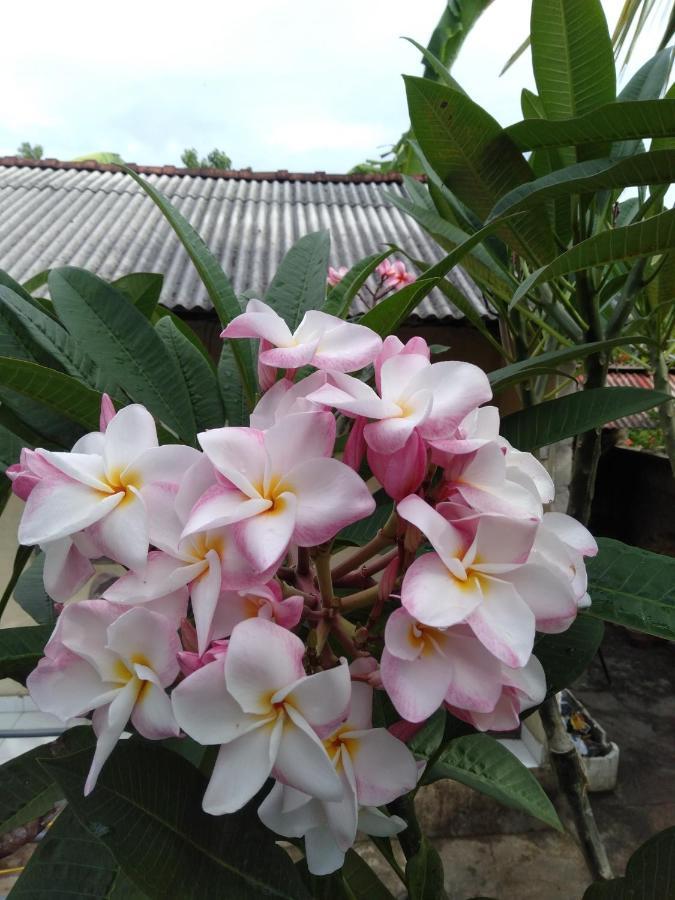Gatri Hut Hotel นูซาเลมโบงัน ภายนอก รูปภาพ